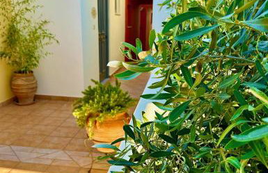 Νηρηίδες Apartments Studios - Photo 11