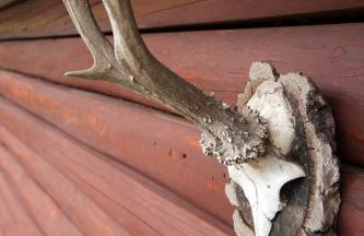 Blockhaus Quellental - Foto 17