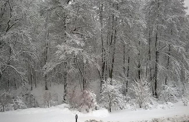 Apartment With Views of the Ore Mountains - Foto 35