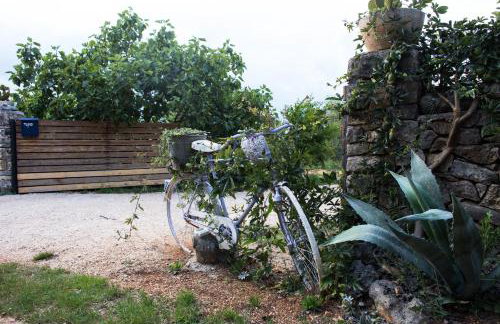 Officinalis - Family Vacation House - Photo 40