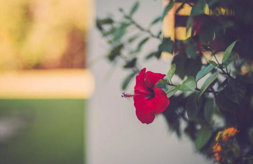 2705 - Schicke Villa in Santa Ponsa Nova - Foto 19