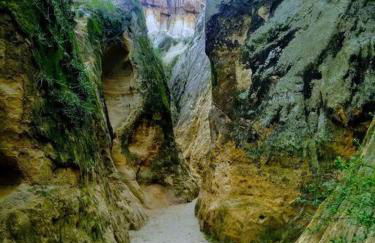 Sand Pebbles Resort - 1 Bedroom Condo in Great Location Right by the Beaches and Attractions - Foto 32