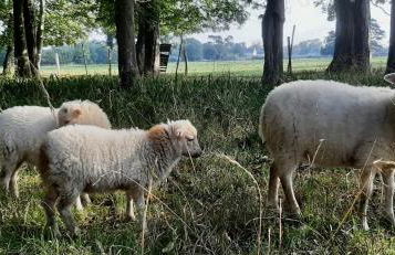 Château Côte de Nacre - Photo 18