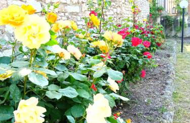 Residenza Messer Pajola - Photo 6