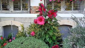 Domaine de Croix en Sologne - Foto 4