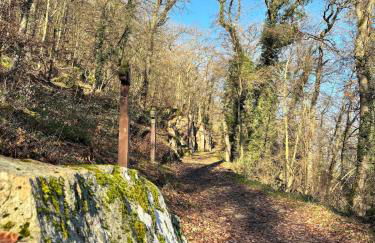 Schwalmala Logement calme au coeur du vignoble - Foto 26