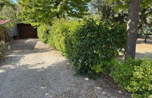 Villa Civita - Photo 8