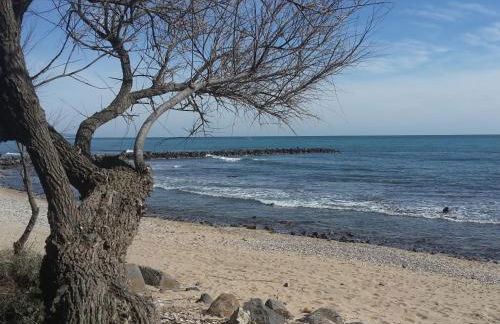 Vue mer à la plage du Môle - Clim - Fibre Wifi - Foto 33