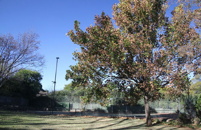 Private Cottages - Photo 9