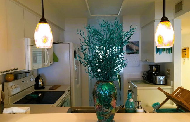 Beach View Oceanfront Condo in Ponce Inlet FL - Foto 21