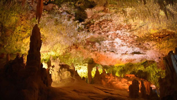 Hams Caves & Dinosaurland Trip - Foto 2