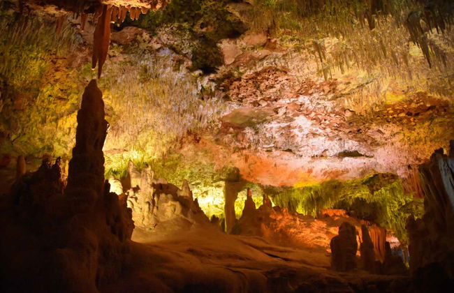 Hams Caves & Dinosaurland Trip - Foto 2