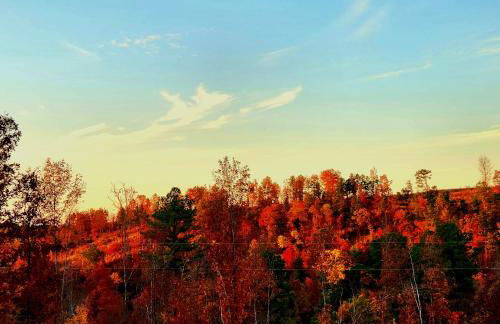 The Windstorm Cabin - Pet-friendly & a 2-person Jacuzzi hot tub! - Foto 42