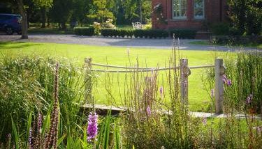 Walwyn Court Barns - Foto 2, Garden