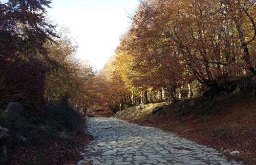 Charming Etna House - Foto 44