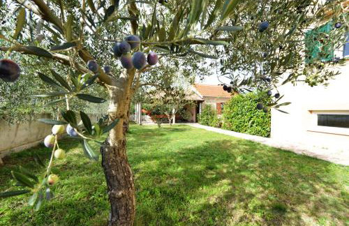 Villa Zvizda - Photo 20