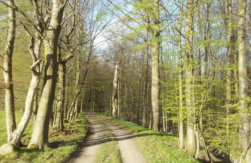 MOIN, MOIN & AHOI! - Foto 66