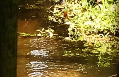 RECANTO DO SABIÁ - Foto 34