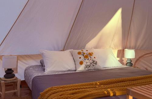 Monte da Tojeirinha - Photo 9