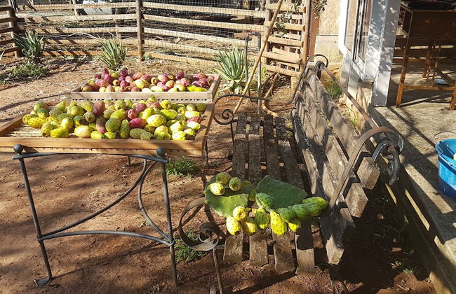 Le Radici Casa Vacanze - Foto 44