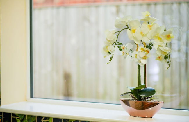 Baxter House - Foto 27