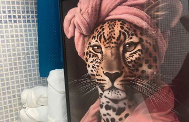 Home Regina - Foto 29