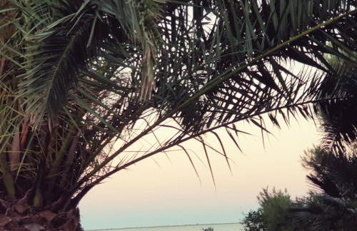 Ca la Mercè - Foto 27