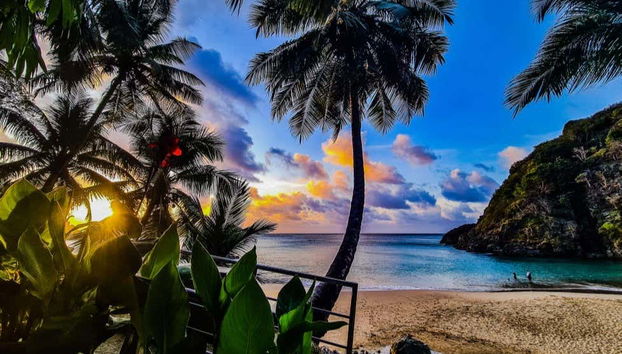 Praia do Cachorro Snorkeling - Foto 2