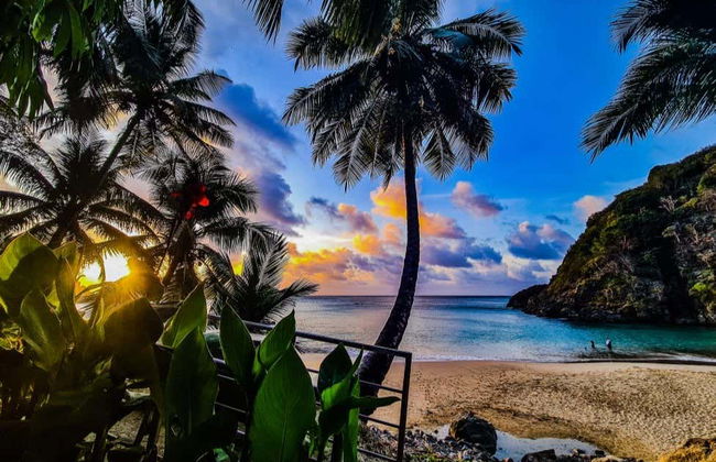 Snorkeling à Praia do Cachorro - Photo 6