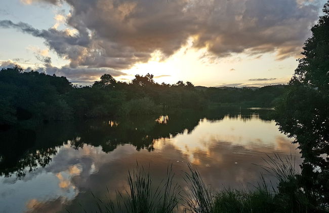Kruger Park Lodge - Photo 51
