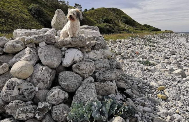 6 Person Holiday Home in Sjaellands Odde-by Traum - Foto 10