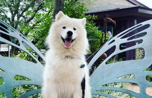 Main House - 3 Story 5 Bed 3 Bath Private Deck Courtyard Pet Friendly fee applies - Photo 36