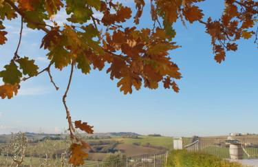 Agriturismo Vallelunga - Foto 17