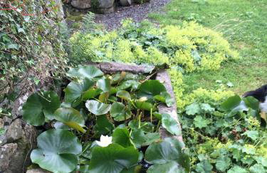 Perthi Uchaf - Foto 29