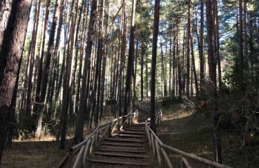 Casa Rural Chincha - Foto 28