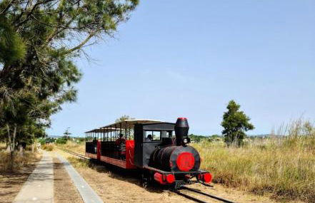 Apartamento Matilde - Foto 27