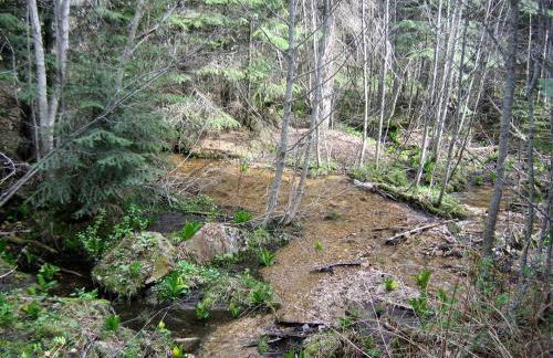 Rustic Cabin in a Charming Location in Stevens County, Washington - Foto 14