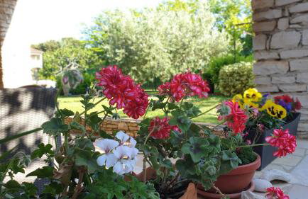 Apartment Lucas - Foto 25