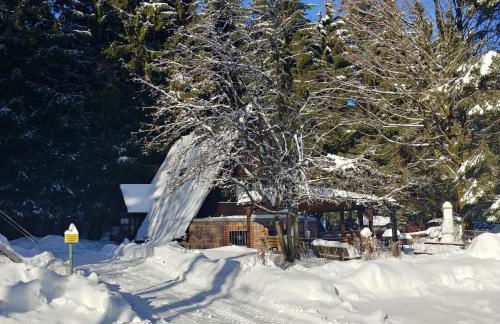 Wanderhütte Zum Glückstal - Foto 37