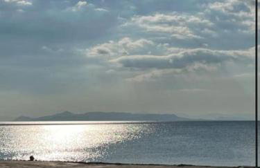 Athens Riviera modern apartment - Foto 32