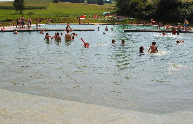 Cozy Apartment in Ruhmannsfelden With Swimming Pool - Photo 62