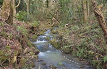Ojangoiti - Refugio escondido junto al río - Hidden Riverside Retreat - Urdaibai - Photo 38