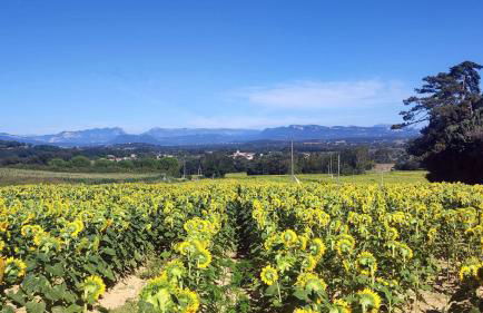 Maison Les Chênes - Jacuzzi - Calme & Idéalement situé - Clim - Salle de Jeux - Parking - Foto 29