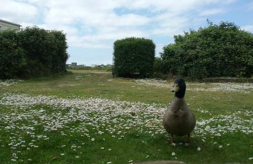 The Patch at Snettisham Beach - Foto 36