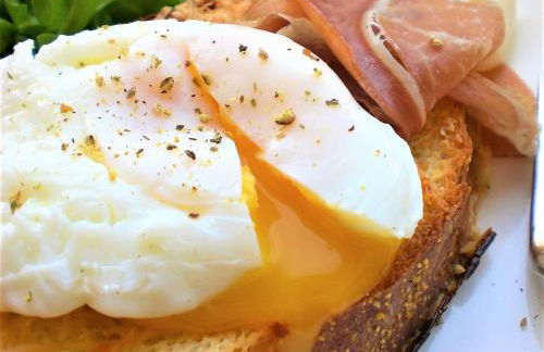 Tree of Life Art Hotel - Foto 34