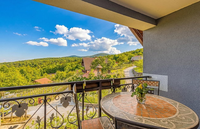 Vineyard Homestead Vrtin - Foto 40