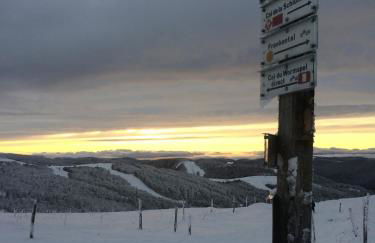 Chalet 10 pers sauna & SPA La tanière des Vosges - Foto 55