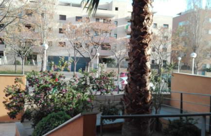 rosa sensat - Foto 16