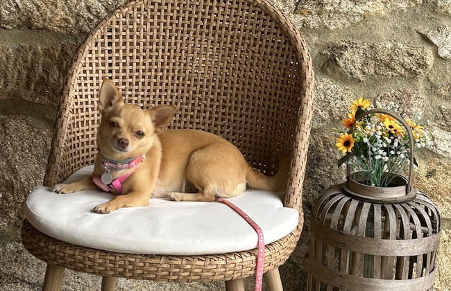 CASA DE COSTOIA - Foto 72