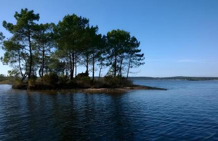 Joli Petit Chalet La Cote d'Argent - Photo 24